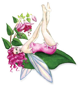 Fairy 7